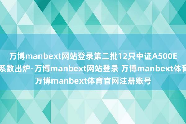 万博manbext网站登录第二批12只中证A500ETF的配售遵守系数出炉-万博manbext网站登录 万博manbext体育官网注册账号