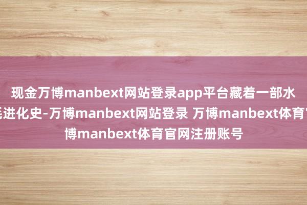 现金万博manbext网站登录app平台藏着一部水灵的中国虚耗进化史-万博manbext网站登录 万博manbext体育官网注册账号